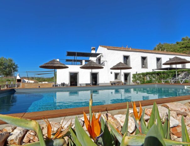 Main Building Flowers over pool